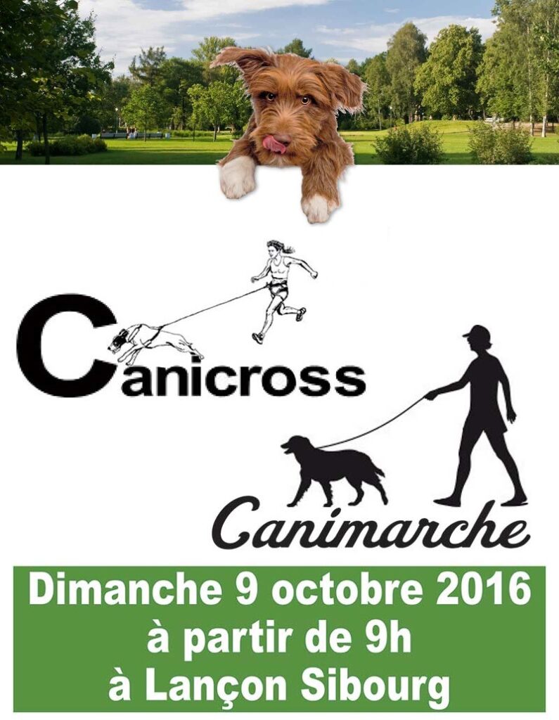 affiche canicross