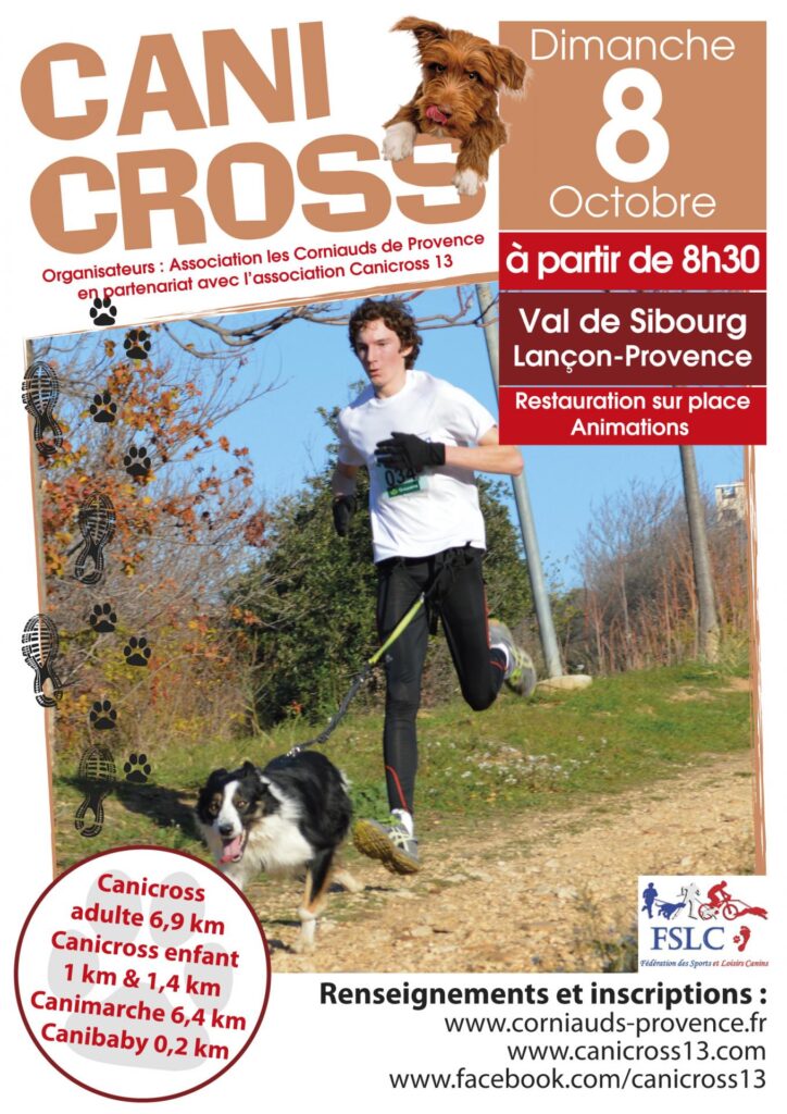 affiche canicross 2017 1 2